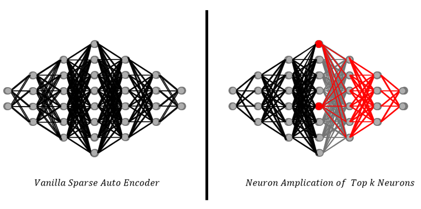 Adaptation in Out-Of-Distribution via Sparse Autoencoders in Vision Transformers